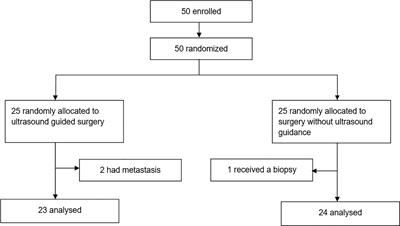 Intraoperative B-Mode Ultrasound Guided Surgery and the Extent of Glioblastoma Resection: A Randomized Controlled Trial